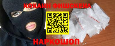 крисы Новозыбков