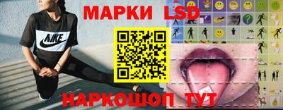 крисы Новозыбков