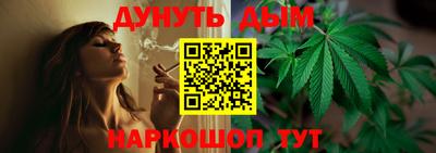 крисы Новозыбков