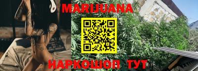 крисы Новозыбков