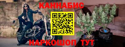 крисы Новозыбков