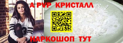 крисы Новозыбков