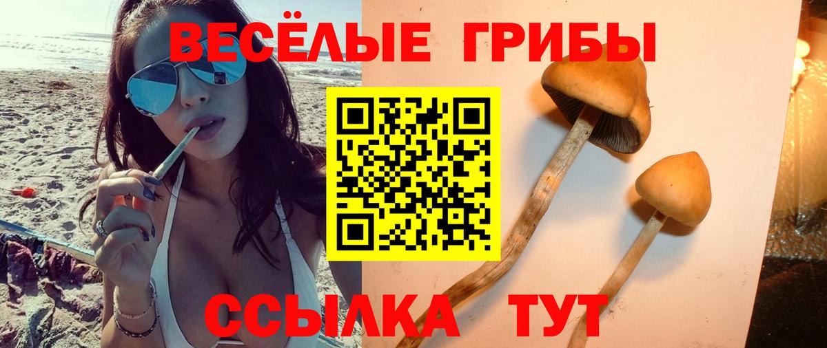 Псилоцибиновые грибы ЛСД  Вход с VPN  Орск 