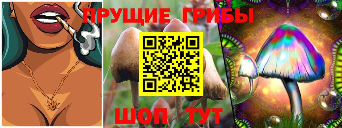Псилоцибиновые грибы мицелий Орск